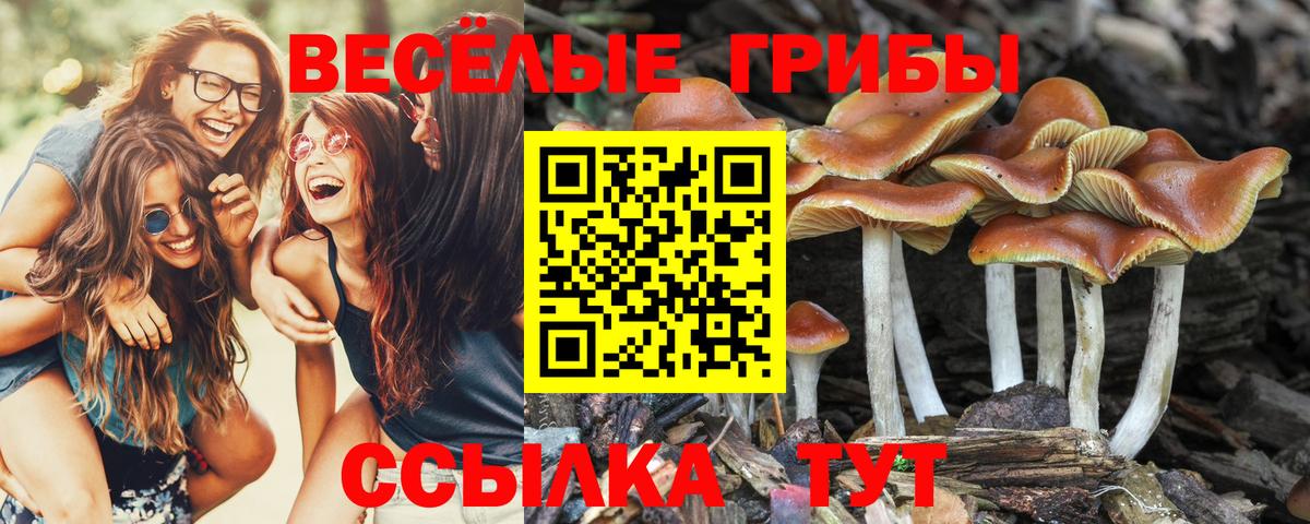 Галлюциногенные грибы ЛСД  Вход с VPN  Тверь 